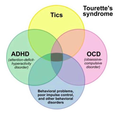 Treatment of Gilles de la Tourette Syndrome.