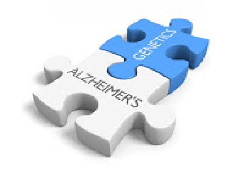 Alzheimer’s: Tips for the Family