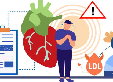 The Impact of Cholesterol on Brain Function