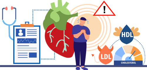 The Impact of Cholesterol on Brain Function