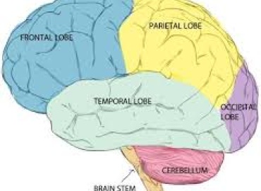 Εφηβεία - Εθισμοί και ωρίμανση του εγκεφάλου
