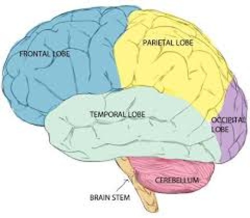 Εφηβεία - Εθισμοί και ωρίμανση του εγκεφάλου