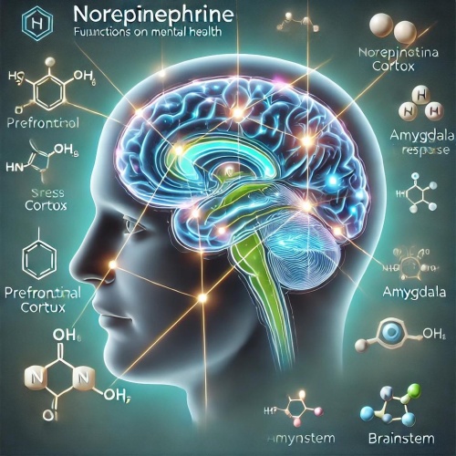 Norepinephrine and Mental Health: Understanding Its Role and Impact