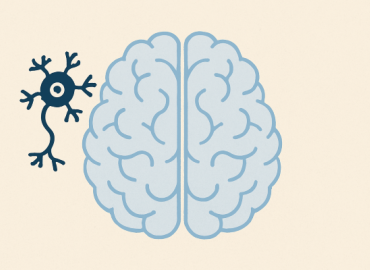 What Causes Memory Loss? Neurological vs. Psychiatric Roots