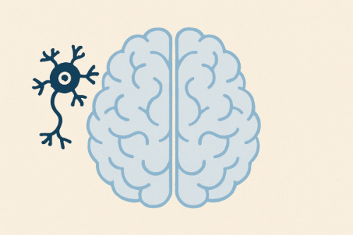 What Causes Memory Loss? Neurological vs. Psychiatric Roots