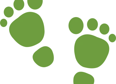 Osteomyelitis and Diabetic Foot: A Serious Complication That Should Not Be Ignored