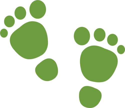 Osteomyelitis and Diabetic Foot: A Serious Complication That Should Not Be Ignored