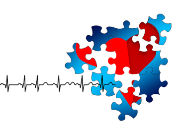 The Effect of Stress on the Cardiovascular System