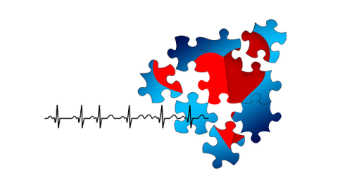 The Effect of Stress on the Cardiovascular System