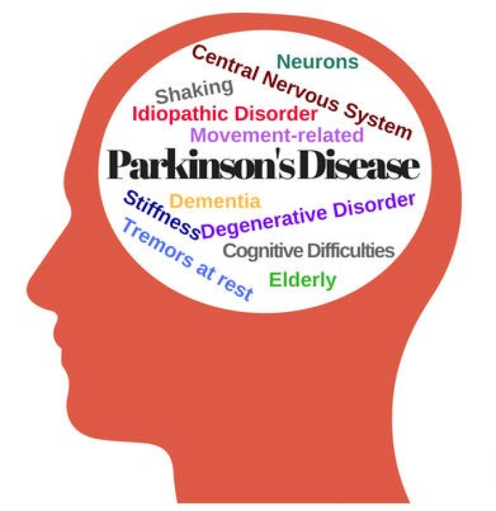 Θεραπεία της Νόσου του Πάρκινσον