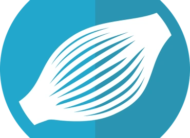 Τι είναι η μυοπάθεια; Συμπτώματα, διάγνωση και στρατηγικές θεραπείας