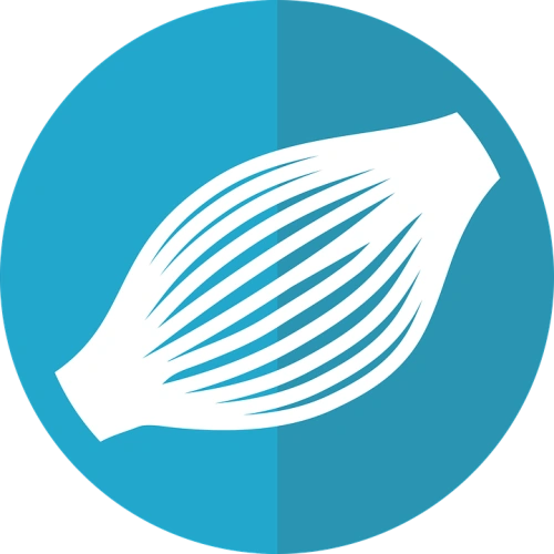 Τι είναι η μυοπάθεια; Συμπτώματα, διάγνωση και στρατηγικές θεραπείας