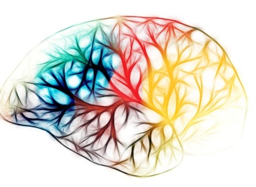 How Thyroid Function Affects Memory and Psychological Well-Being