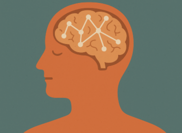 Hebb's Theory of Learning: How Our Brains Build Habits and Knowledge