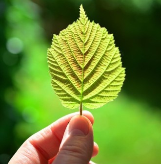 Лечение депрессии