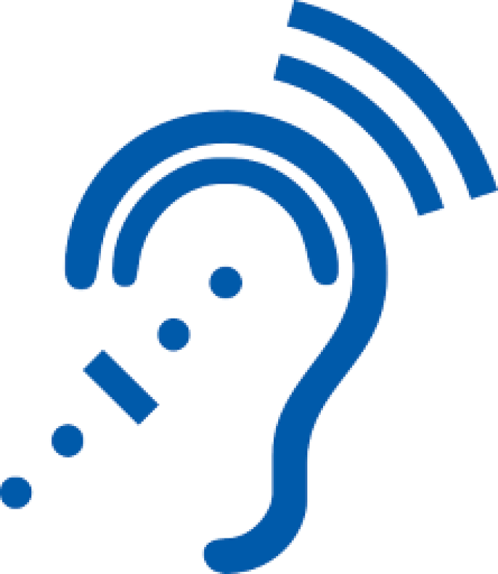 Treatment of Tinnitus with Repetitive Transcranial Magnetic Stimulation(rTMS