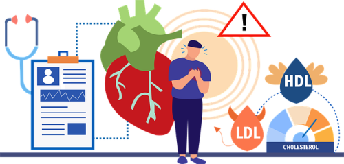 Влияния холестерина на функцию мозга