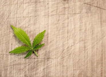 Cannabis and the Brain: Long-Term Use and Its Effect on Thinking and Memory