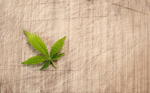 Cannabis and the Brain: Long-Term Use and Its Effect on Thinking and Memory