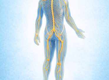 Наиболее частые причины поражения периферических нервов: что необходимо знать